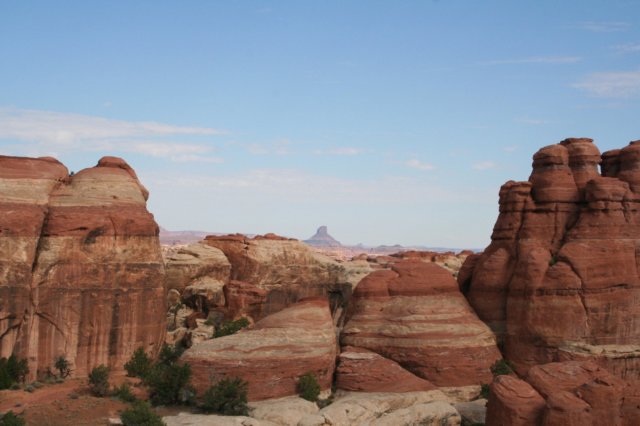 canyonlandsneedles.jpg