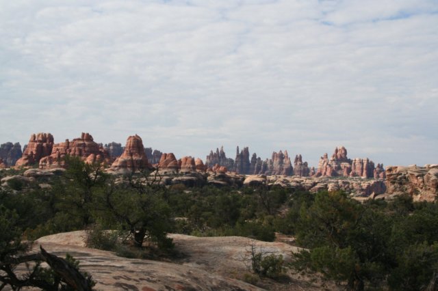 canyonlandsneedles2.jpg